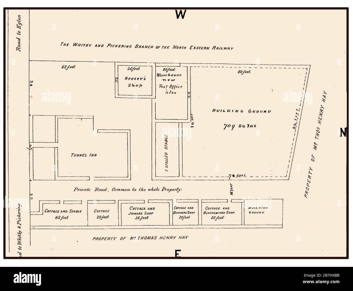 How Old Is Armin Arlert in Solo Leveling?